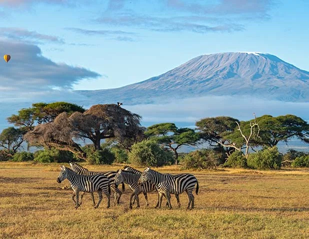 flights-to-Kenya